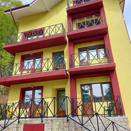 Vila Ioana Hotel Slănic-Moldova Екстериор снимка