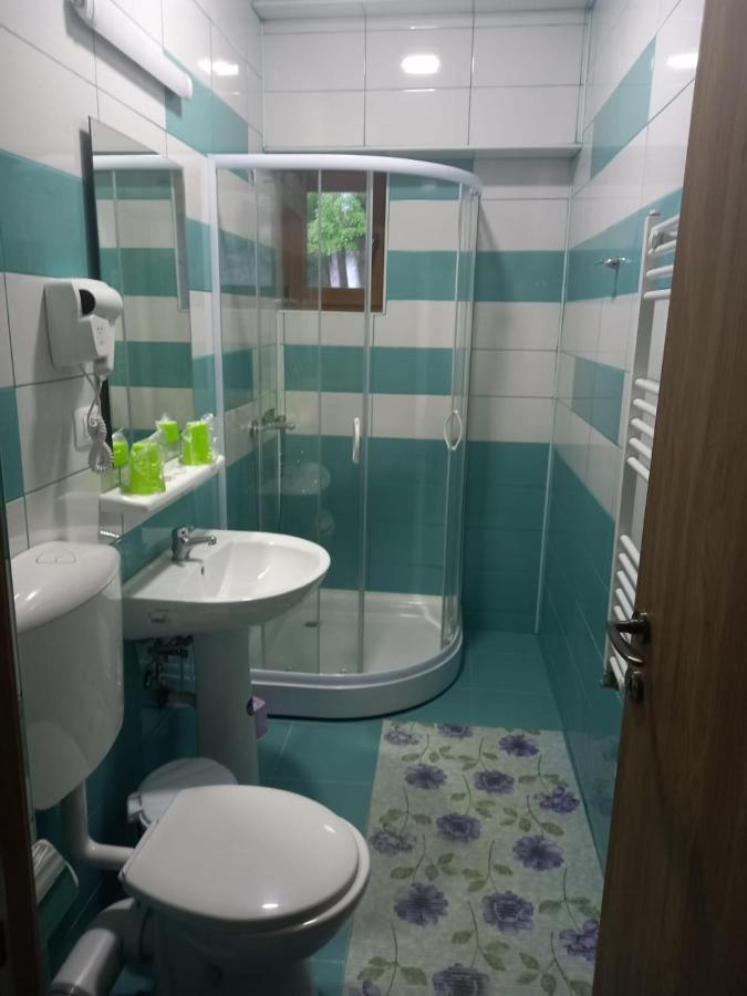 Vila Ioana Hotel Slănic-Moldova Екстериор снимка