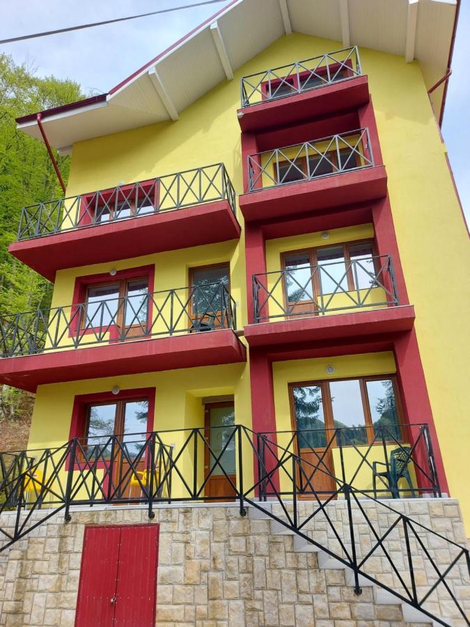 Vila Ioana Hotel Slănic-Moldova Екстериор снимка